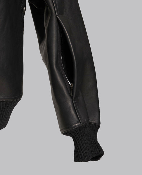 CONCORDIANS RUNWAY BLIXA DRACUCOLLAR